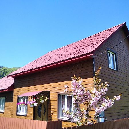 Відпочинок У Карпатах, Мінеральні Ванни, Банний Чан! Hostal Verkhnyaya Bystra Exterior foto