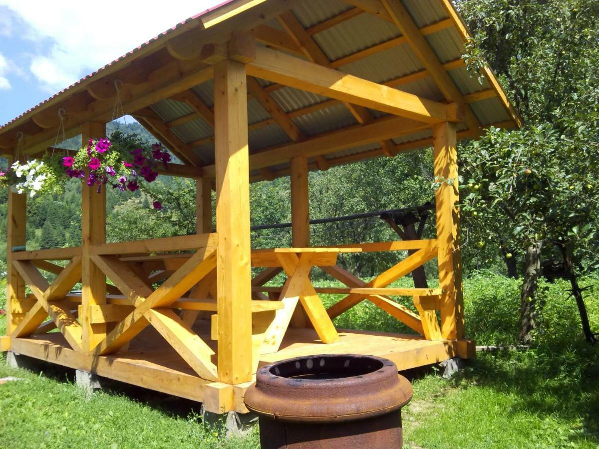 Відпочинок У Карпатах, Мінеральні Ванни, Банний Чан! Hostal Verkhnyaya Bystra Exterior foto
