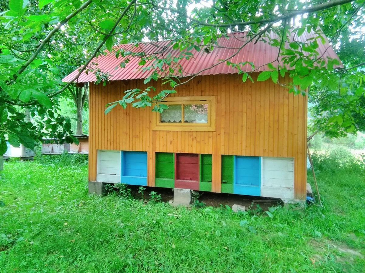 Відпочинок У Карпатах, Мінеральні Ванни, Банний Чан! Hostal Verkhnyaya Bystra Exterior foto